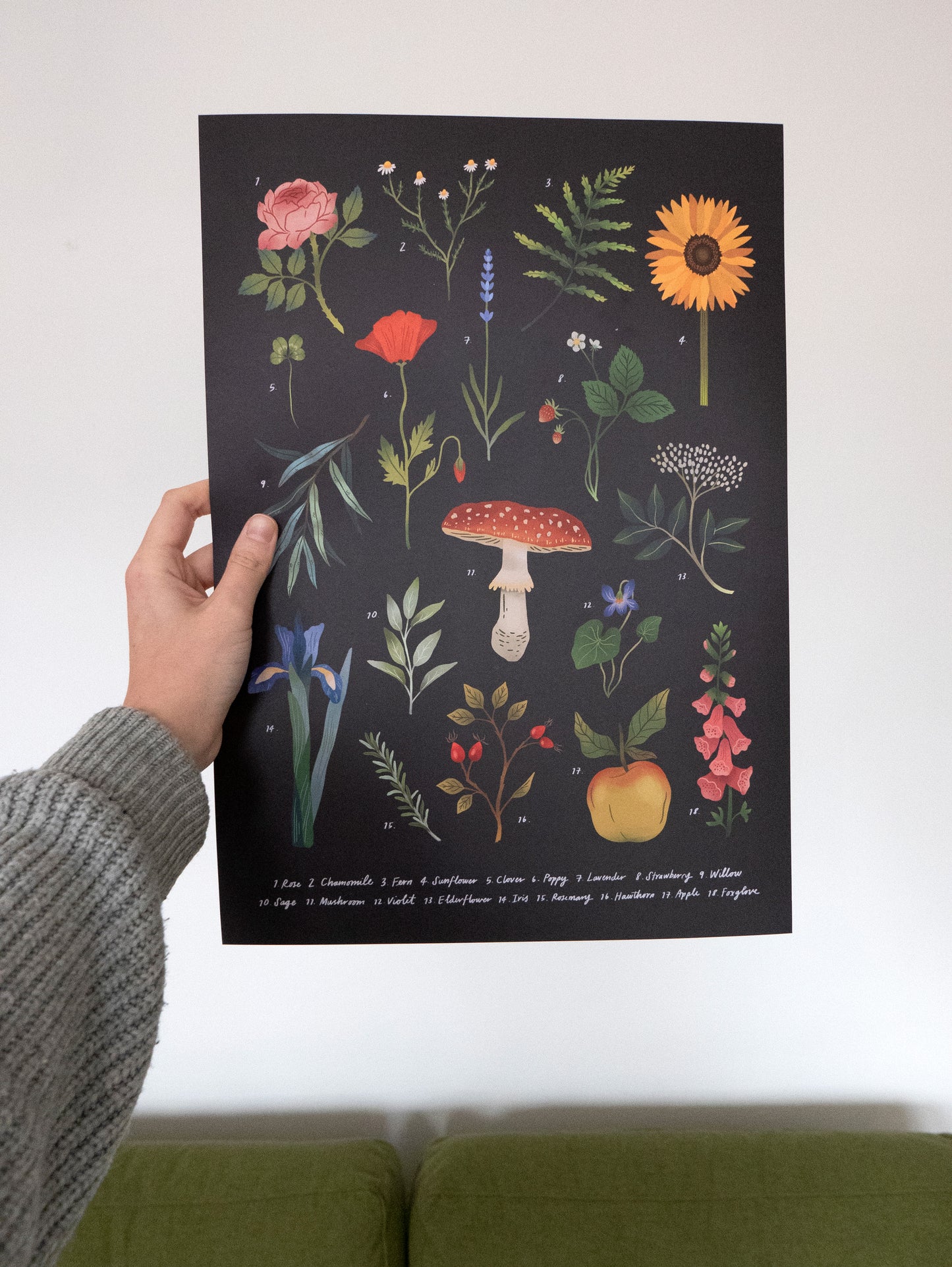Botanical Florals, Fruit + Fungi A3 Poster