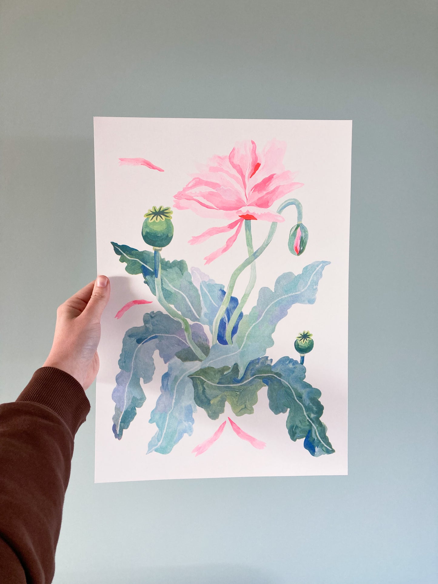 Blue Green and Pink, Floral poppy print A3 by Sophie Potter