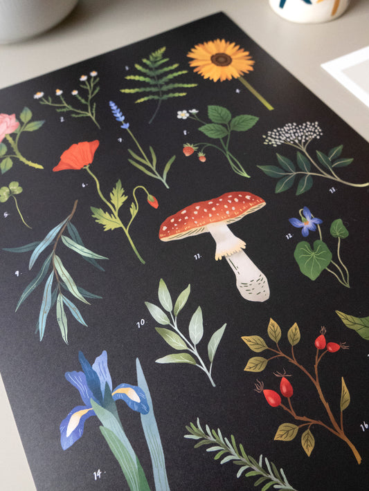 Botanical Florals, Fruit + Fungi A3 Poster