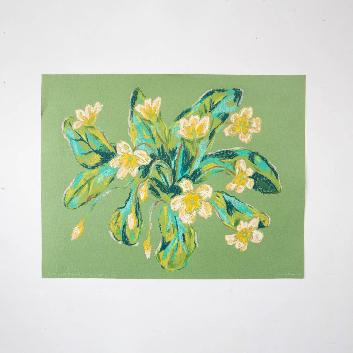 Dreaming of Primroses, Waiting or Spring. Oil Pastel drawing on green paper by Sophie Potter.