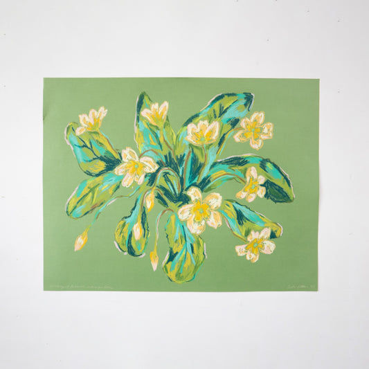 Dreaming of Primroses, Waiting or Spring. Oil Pastel drawing on green paper by Sophie Potter.